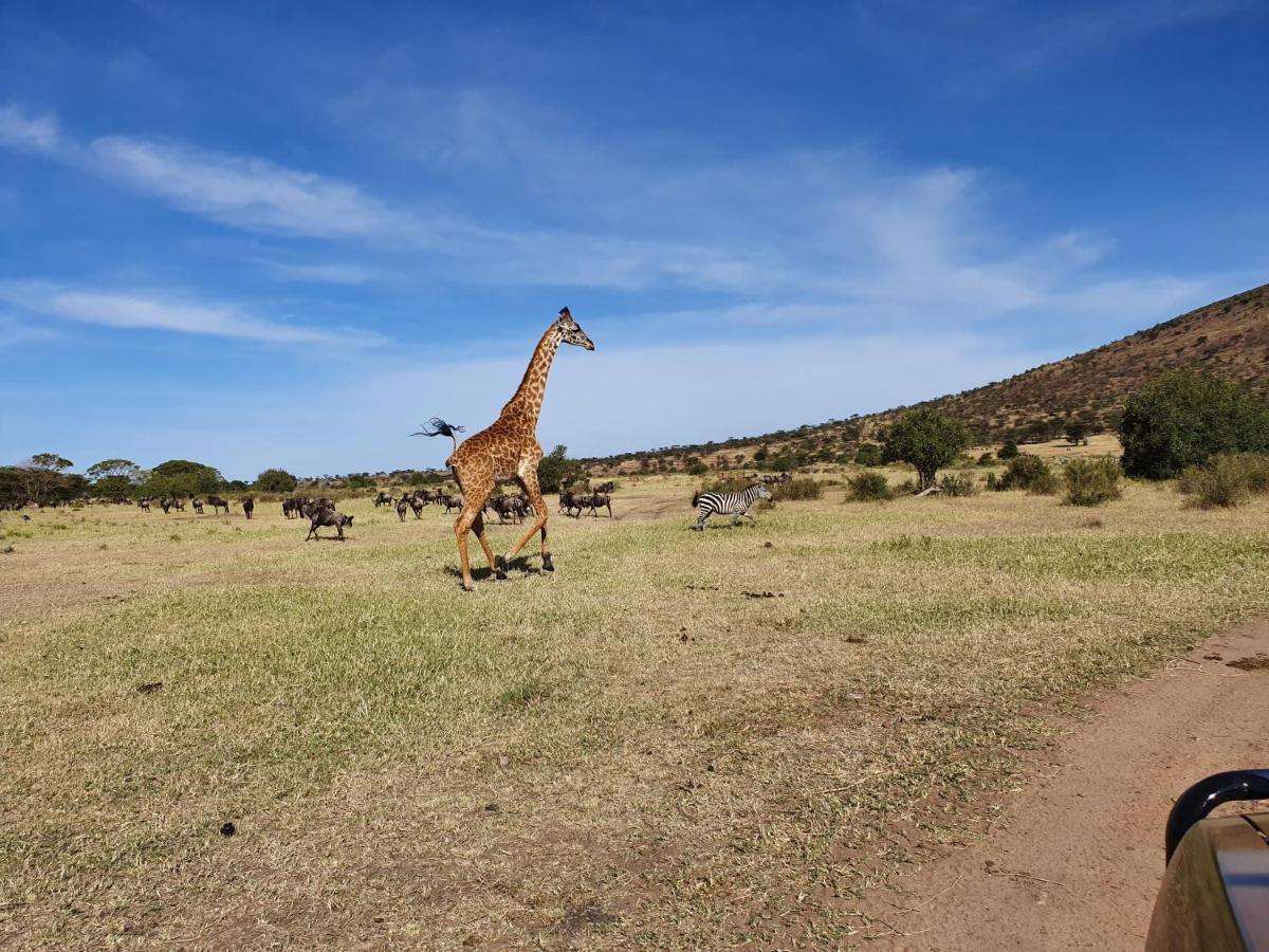 Africa Safari Lake Natron Mtowabaga المظهر الخارجي الصورة