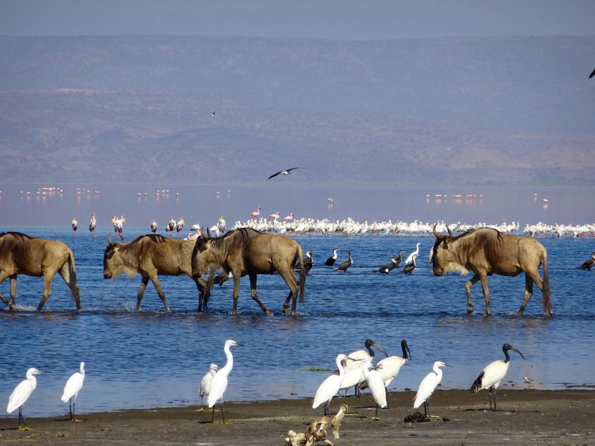 Africa Safari Lake Natron Mtowabaga المظهر الخارجي الصورة